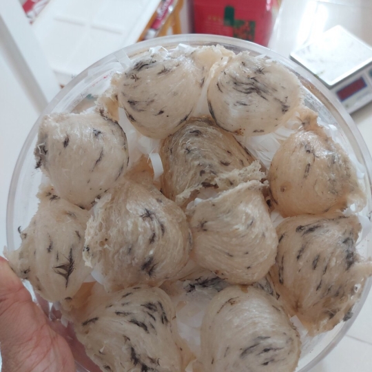 Yến thô ít lông 